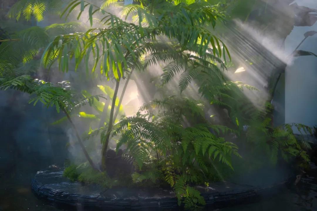 1639105629766954.jpg ΢ÐÅͼƬ_20211210110659.jpg