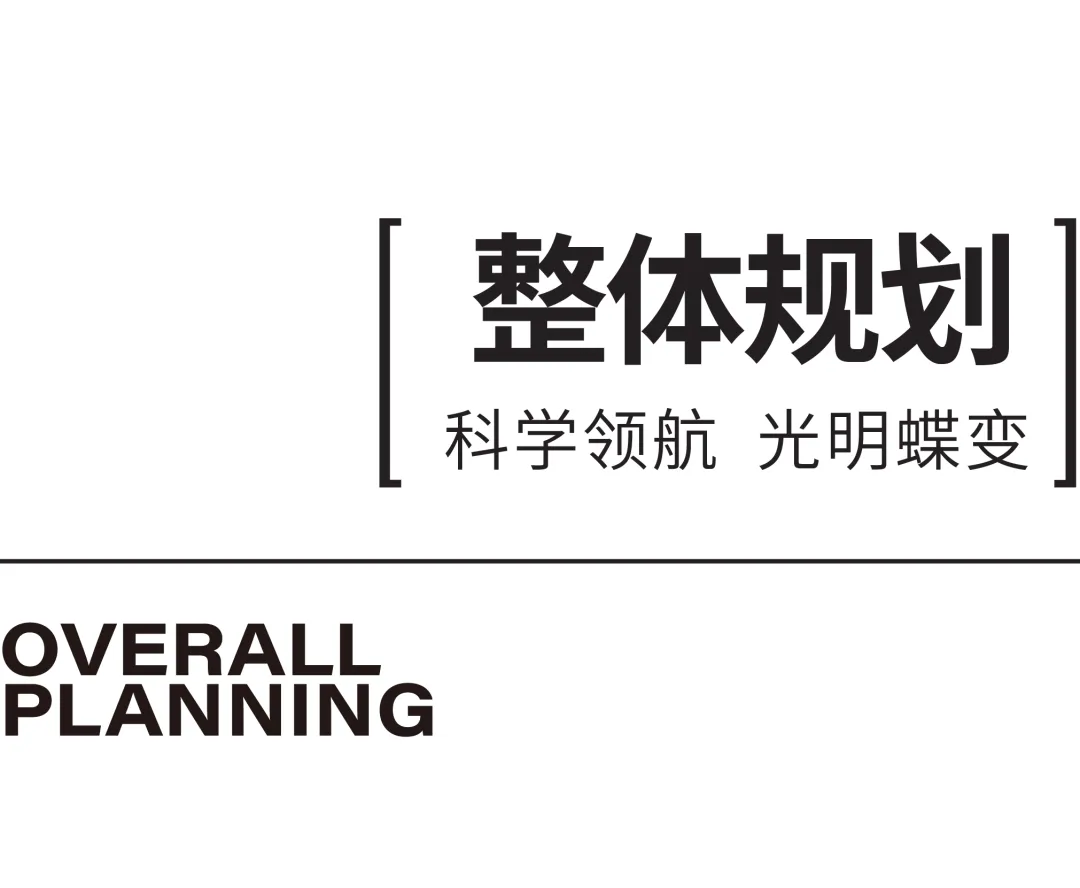 1734427426343205.jpg 1734427150171.jpg