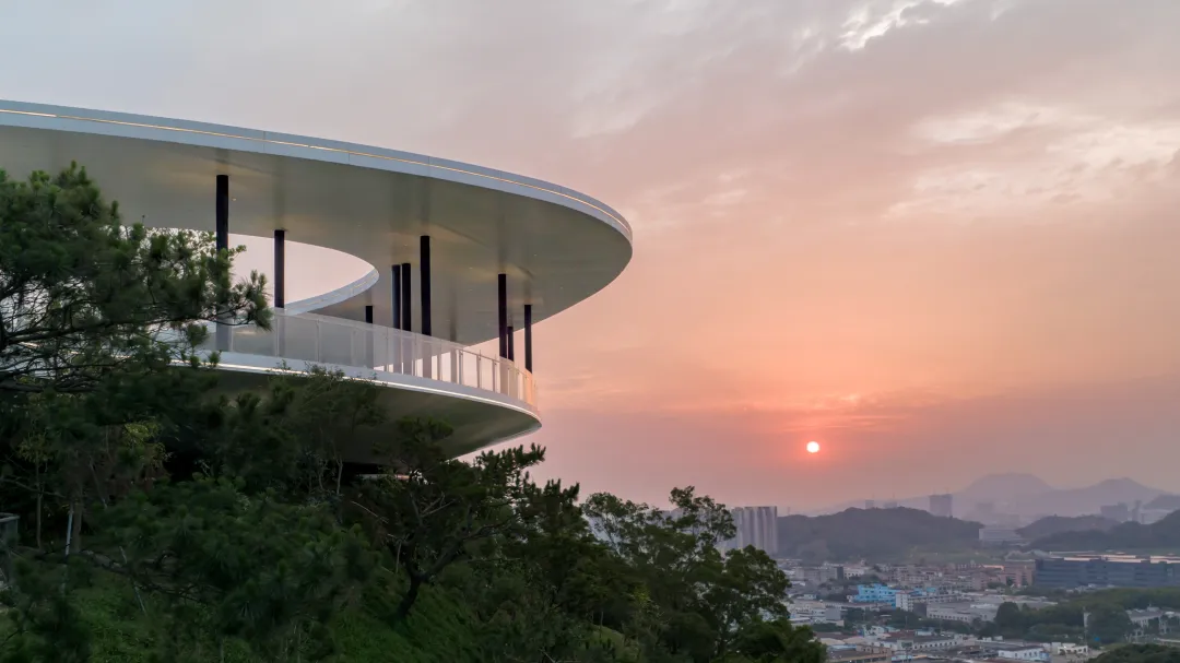 1734427535142823.jpg 1734427487002.jpg