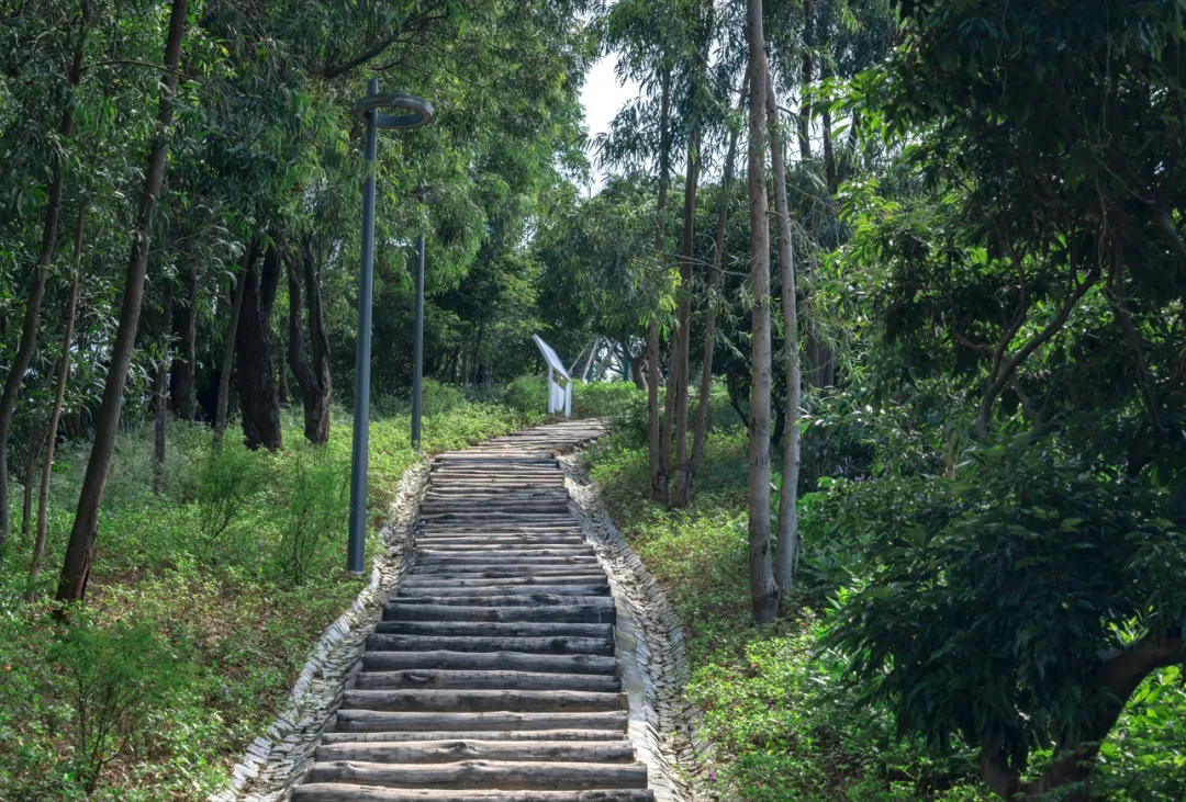 1734427644512229.jpg 1734427595558.jpg