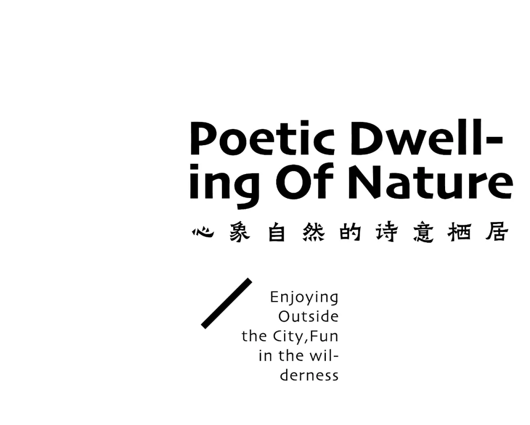 1734602810634628.jpg 1734602758296.jpg