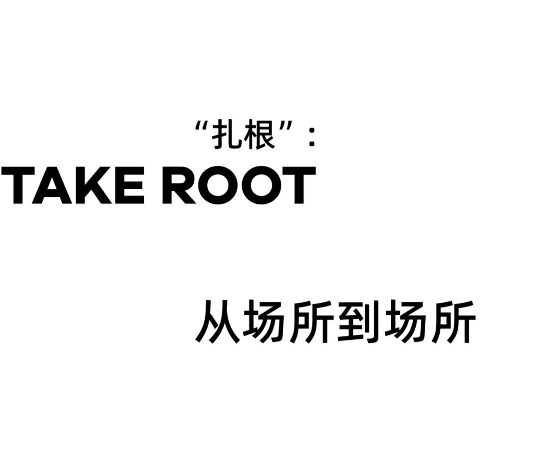 1734676731127524.jpg 1734676688916.jpg