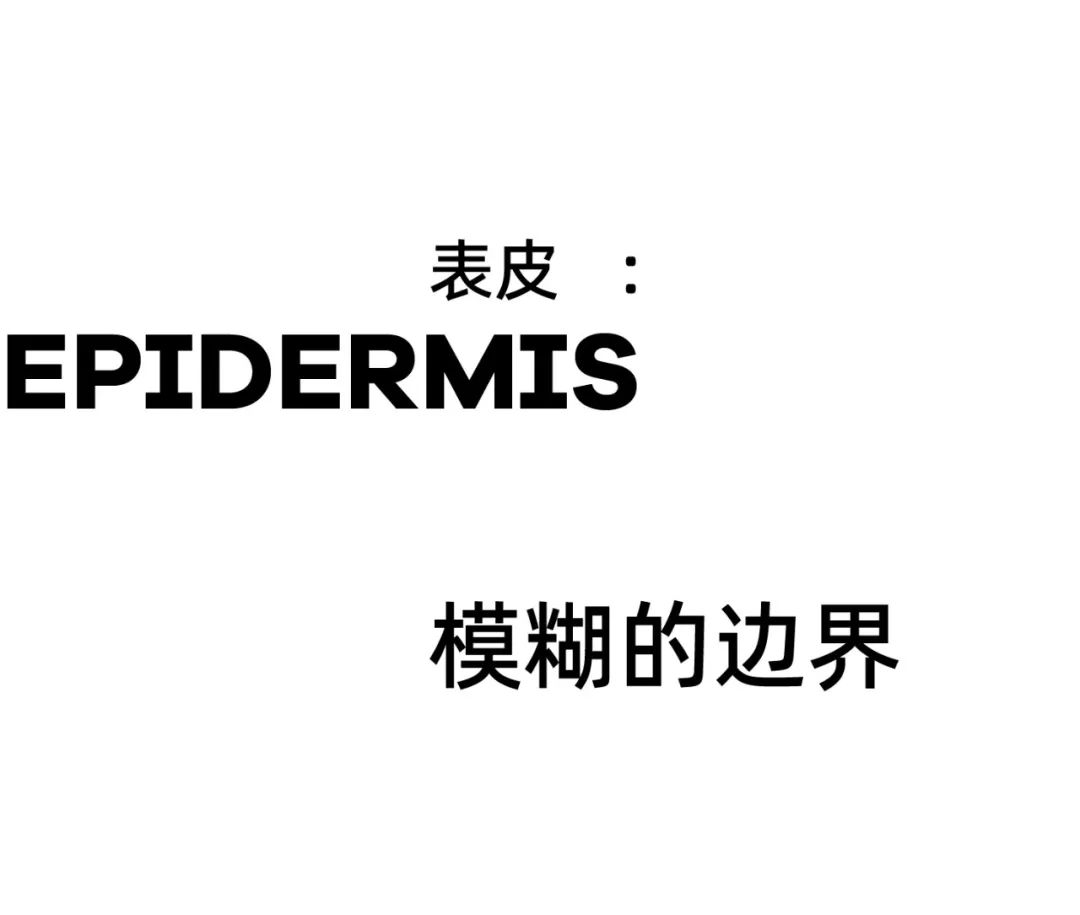 1734676947455134.jpg 1734676855226.jpg