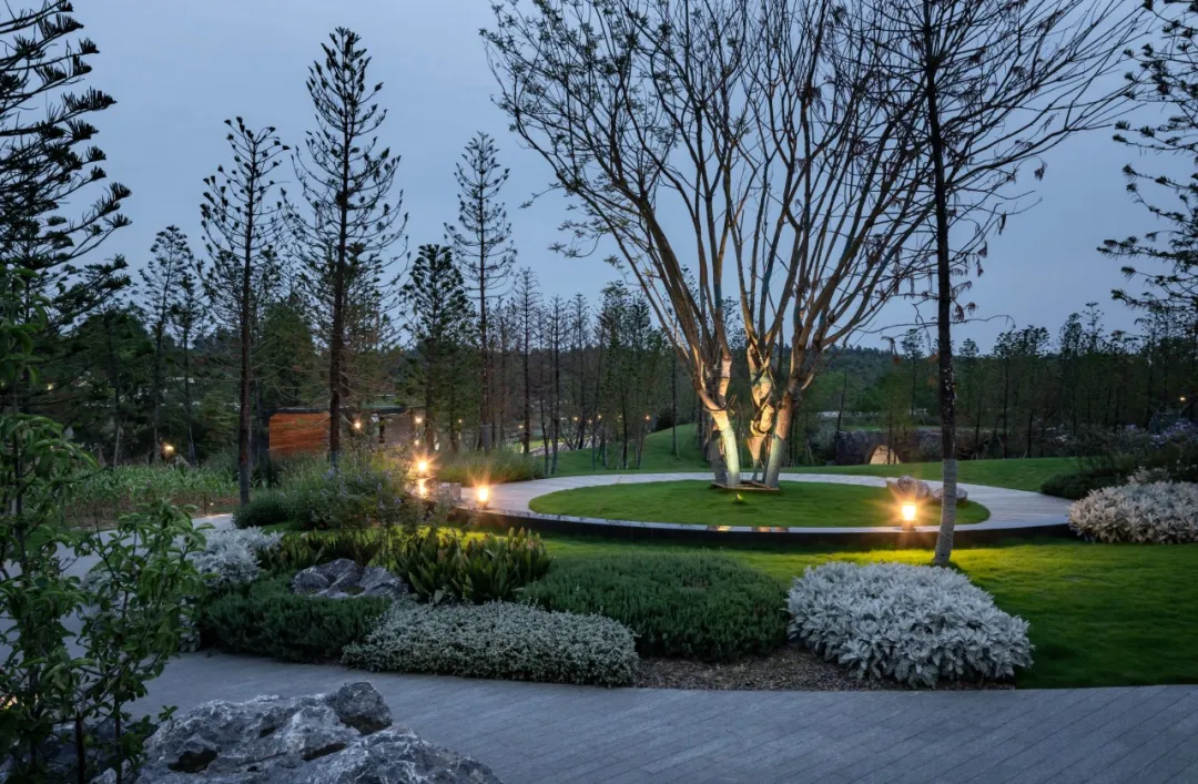 1737080228149169.jpg 1737080206435.jpg