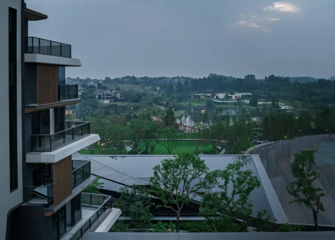 1737080337579017.jpg 1737080325984.jpg