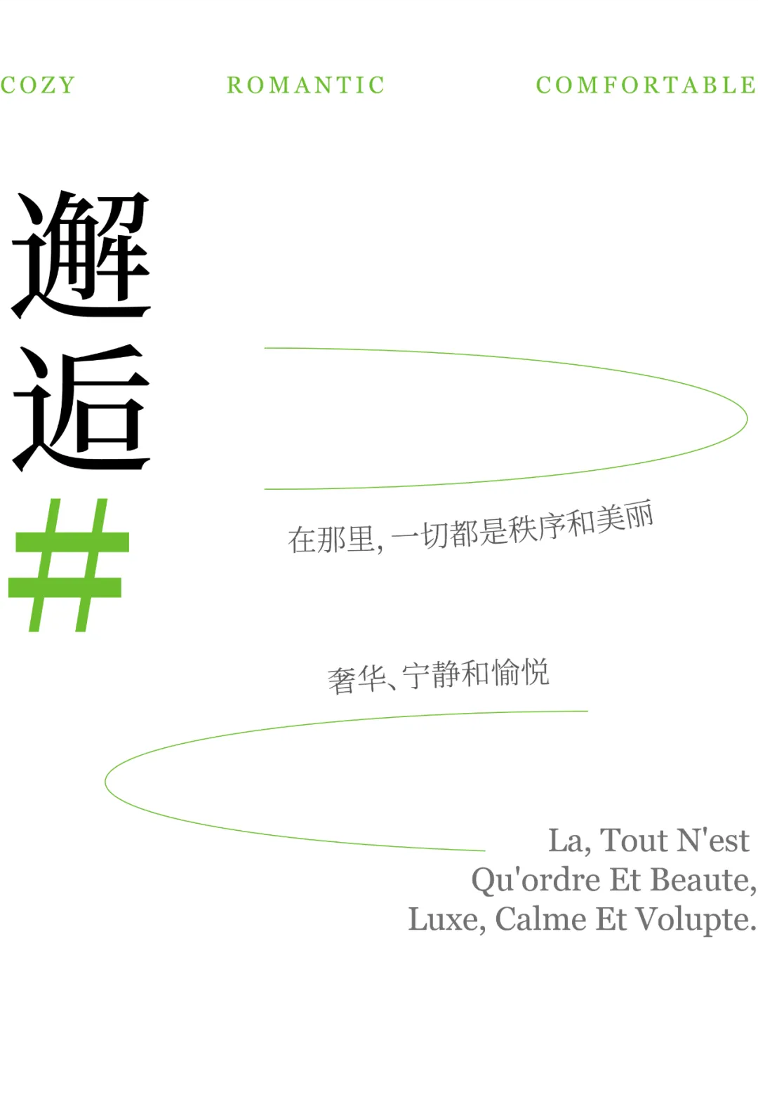 1737101467380977.jpg 1737101133002.jpg