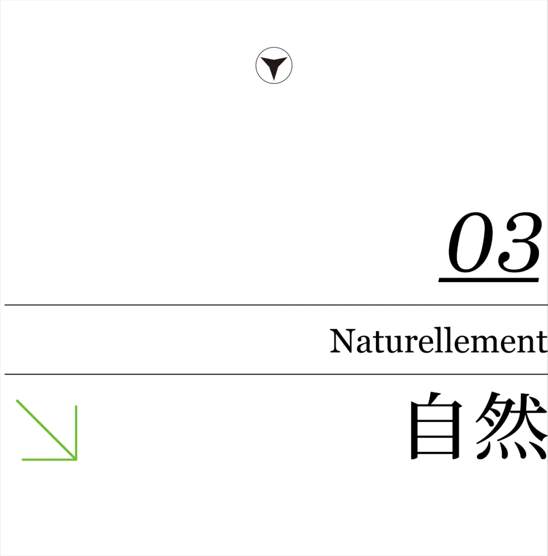 1737101718698780.jpg 1737101703757.jpg