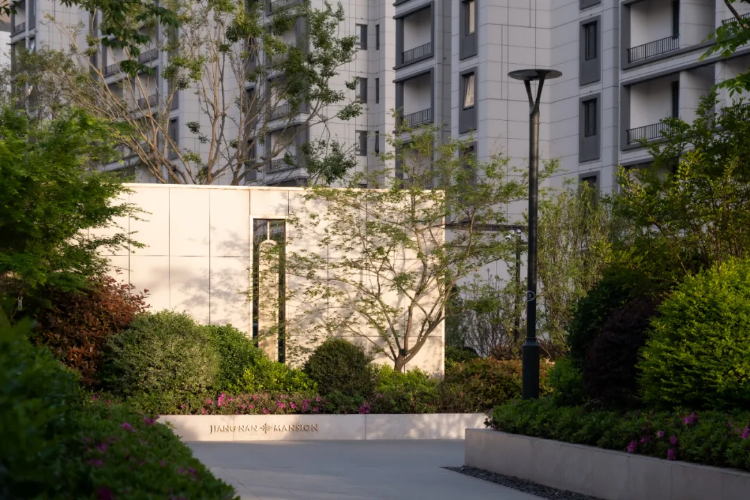 1737101740132493.jpg 1737101726517.jpg