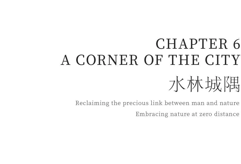 1737108537305813.jpg 1737108534612.jpg