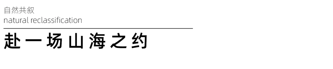 1737859433179048.jpg 1737859395783.jpg