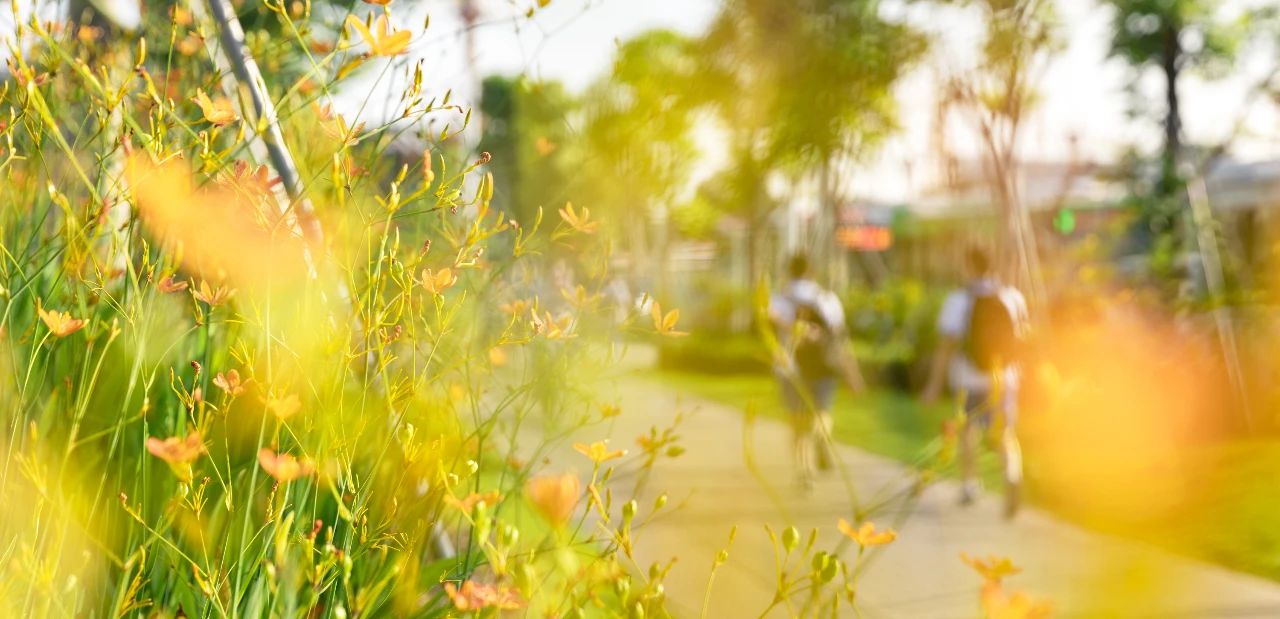 ggpoker¹ÙÍø-Öйú¹Ù·½ÍøÕ¾,й¦Ð§ÕùÏÈÌåÑé